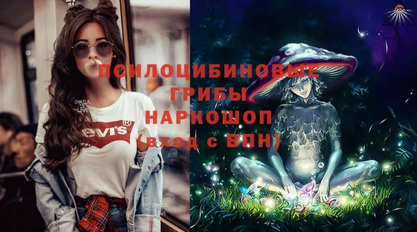 ГАЛЛЮЦИНОГЕННЫЕ ГРИБЫ Алзамай