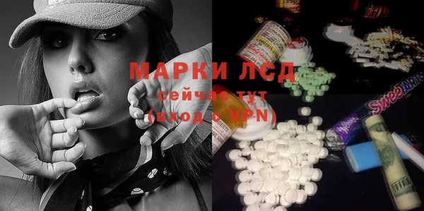 ГАЛЛЮЦИНОГЕННЫЕ ГРИБЫ Алзамай