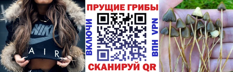 закладка  Родники  мега зеркало  Галлюциногенные грибы Psilocybe 