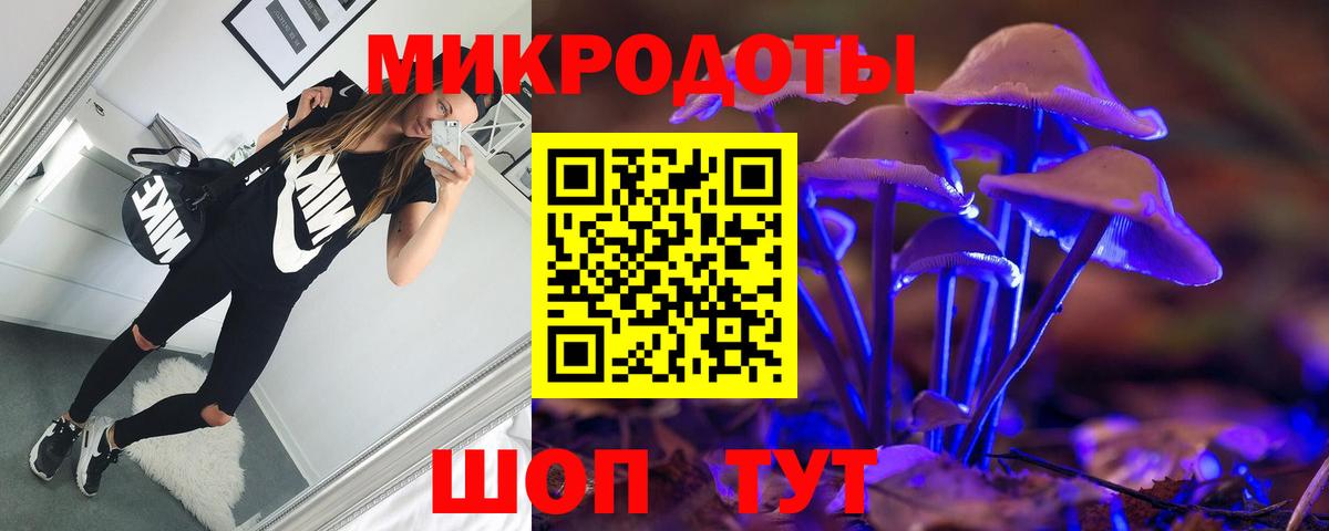Галлюциногенные грибы Psilocybine cubensis  Вход с VPN  Родники 