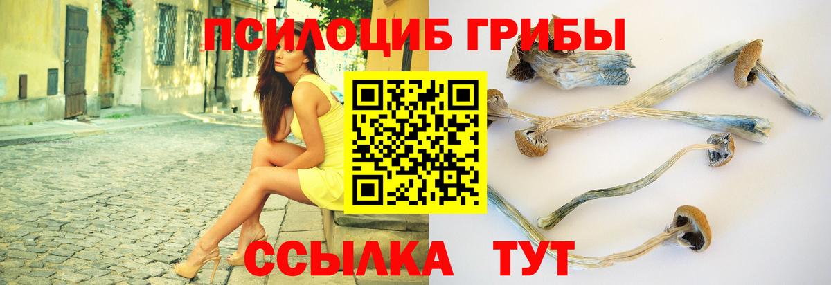 Родники  Псилоцибиновые грибы Psilocybine cubensis  где найти наркотики  Псилоцибиновые грибы Cubensis  Вход с VPN 